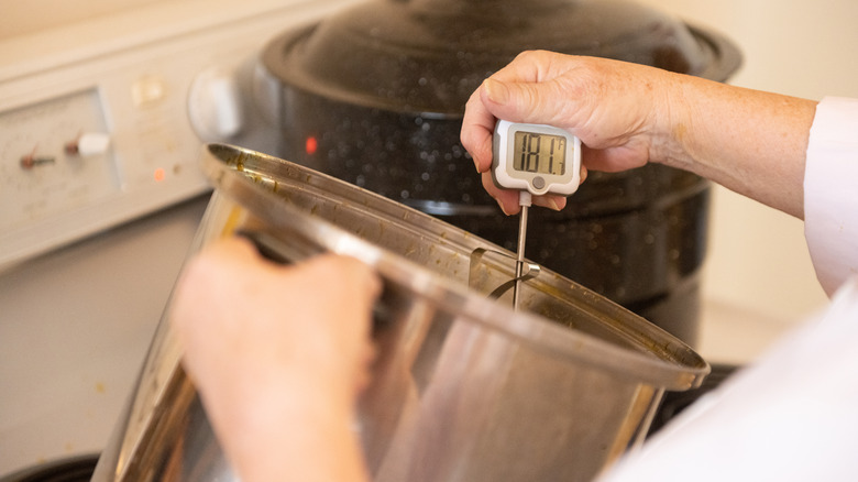 thermometer in pot