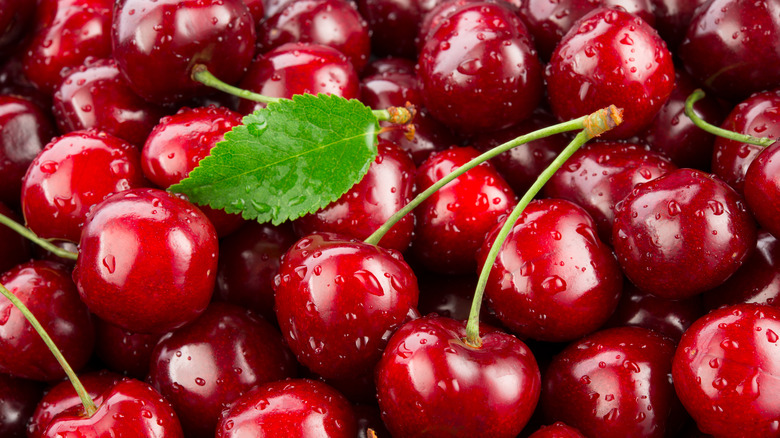 a close up of several cherries