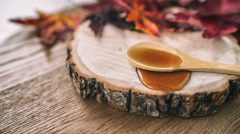 a spoon dipped in maple syrup on a tree trunk