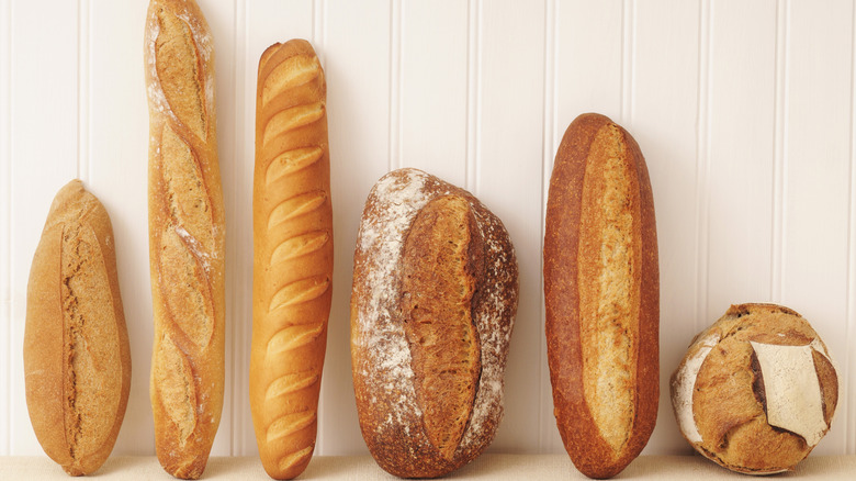 Six different varieties of bread loaves