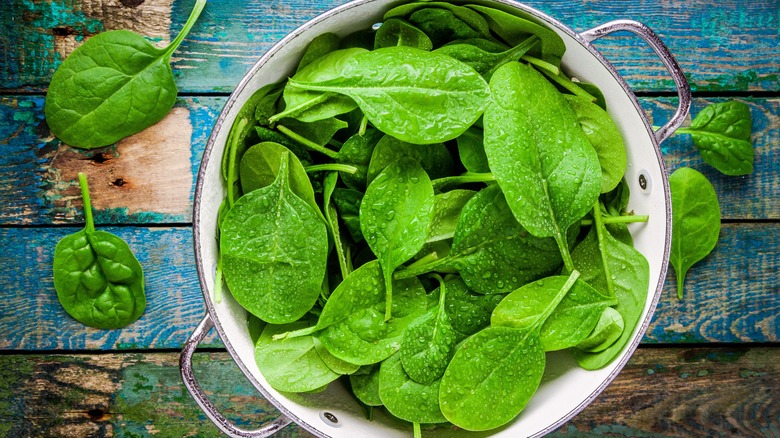 Fresh baby spinach in a colander