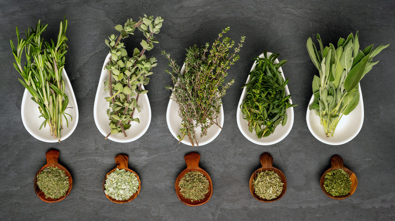 Fresh herbs and their dried versions