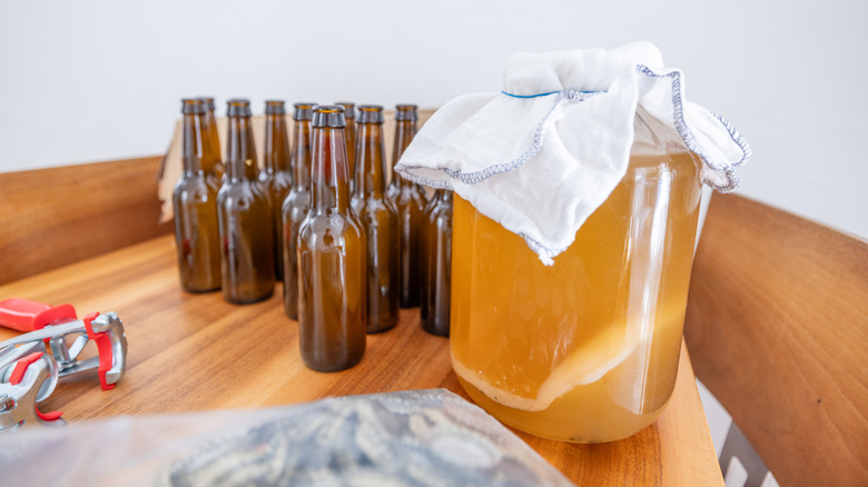 brewed kombucha with glasses