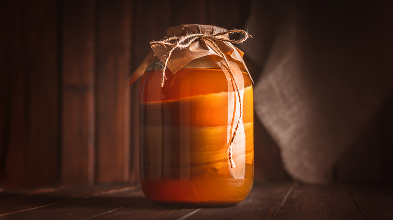 brewing kombucha in glass jar