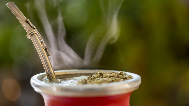 Yerba mate close-up