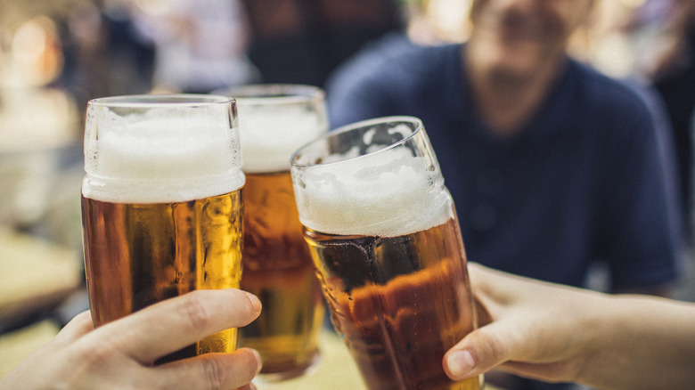 Beer fans clinking glasses of pilsner