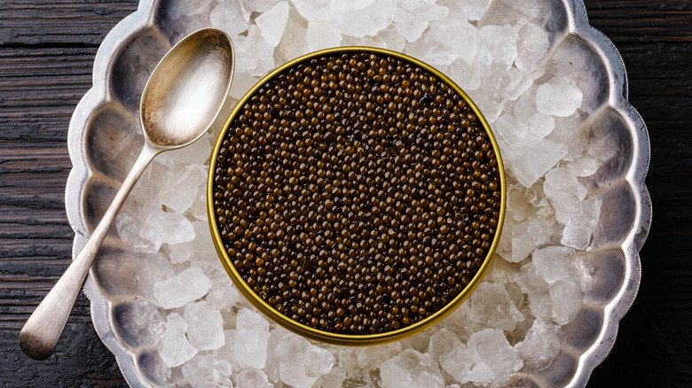 Tin of golden caviar on ice with spoon