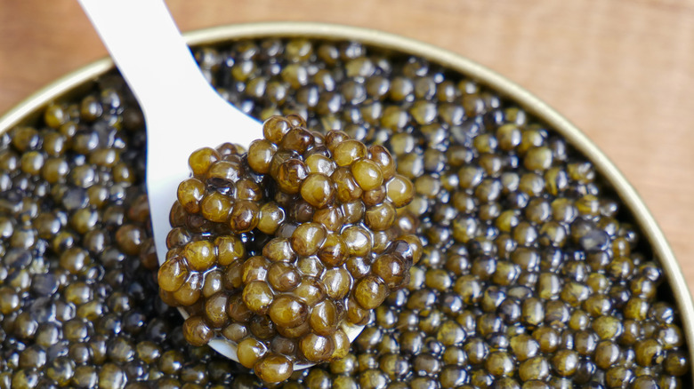 Caviar close-up