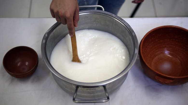 employee making donkey cheese in Serbia