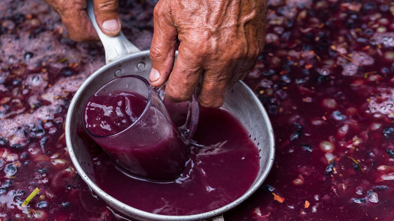 Winemaking in Moldova