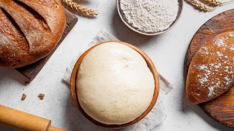 Sourdough bread, dough, and flour