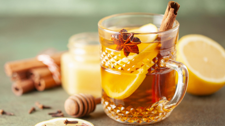 spiced hot toddy cocktail with whole spice and lemon slices