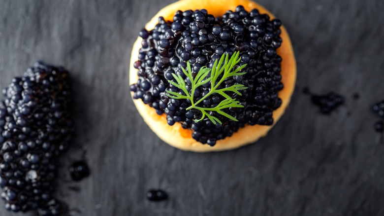 Caviar on a blini