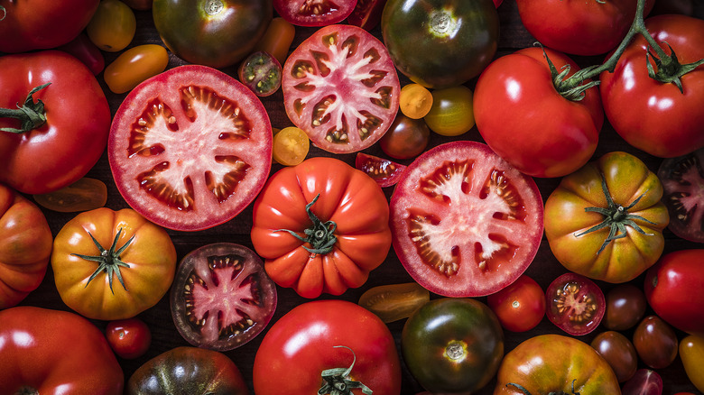 a collection of tomatoes