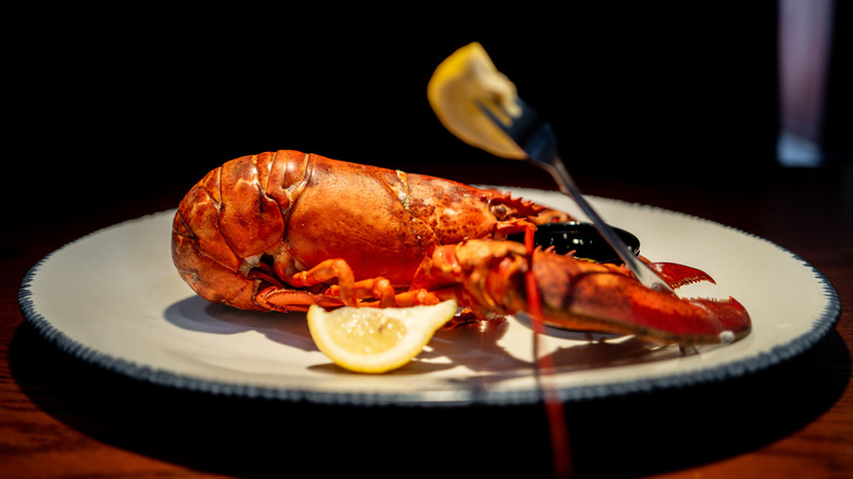 Lobster on a plate at Red Lobster