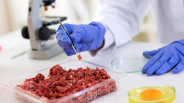 Scientist making meat in lab