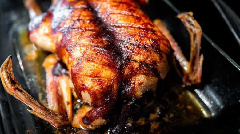 whole roasted duck close up