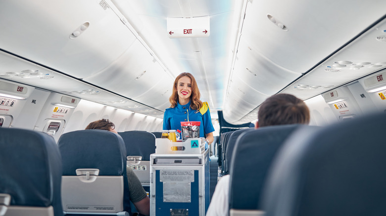 flight attendant serving food