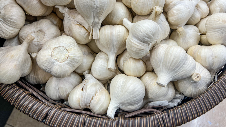 Overview of classic white garlic bulbs