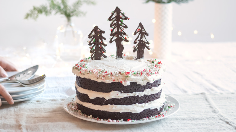 chocolate peppermint cake on table