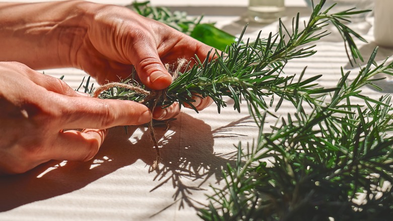 rosemary being handled