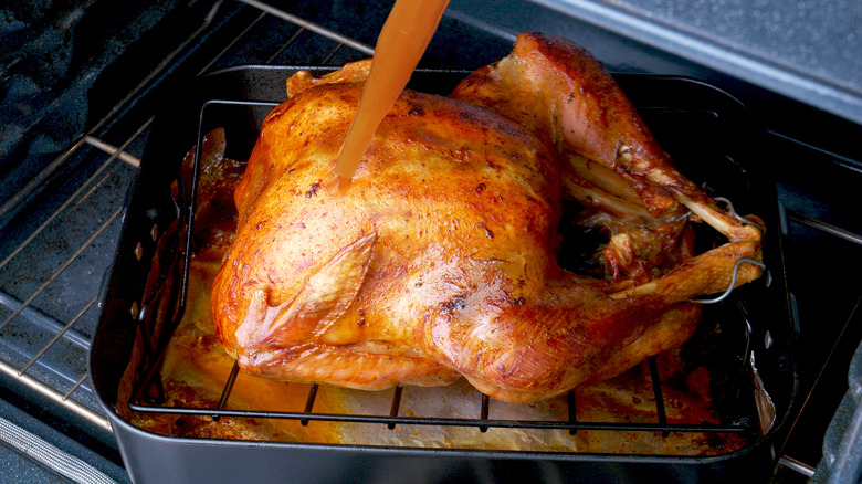 Basting turkey in roasting pan