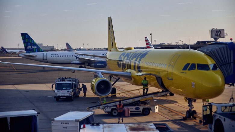 Spirit Airlines at airport