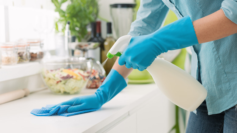 Person cleaning a home kitchen