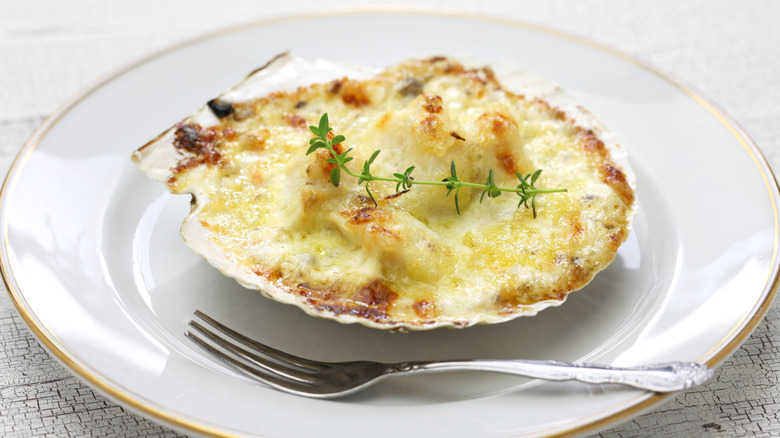 Scallop gratin