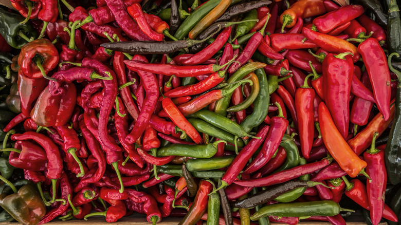 assortment of chilis