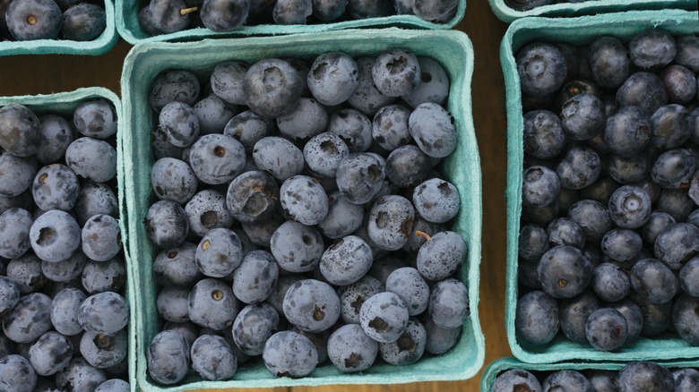 farmers market blueberries