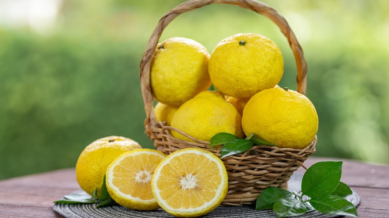 basket of fresh yuzu fruit