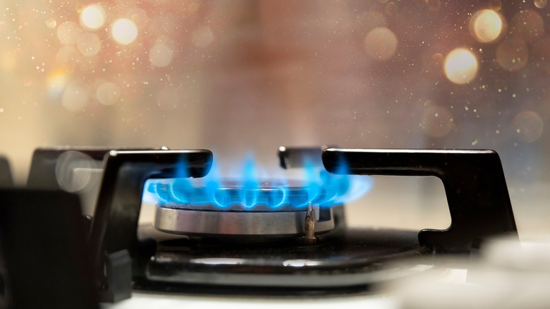 https://www.tastingtable.com/img/gallery/the-gas-vs-electric-oven-debate-explained/intro-1673971638.jpg