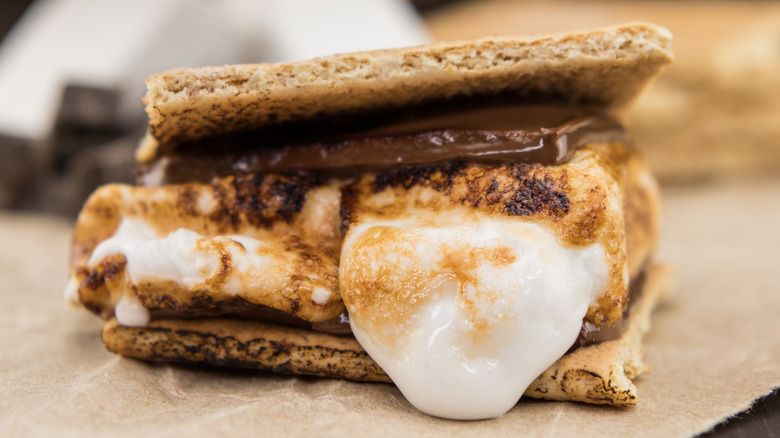 Close-up of a melting s'more