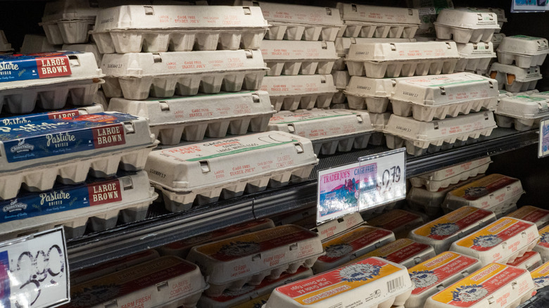 Trader Joe's egg fridge