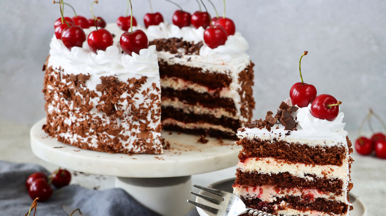 Sliced garnished Black Forest gâteau