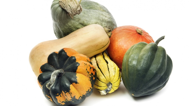 A variety of winter squash