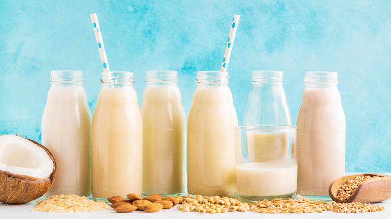 Bottles of alternative milk in a row