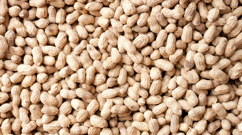 Large pile of unshelled peanuts