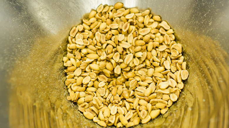 Shelled peanuts in grinder funnel