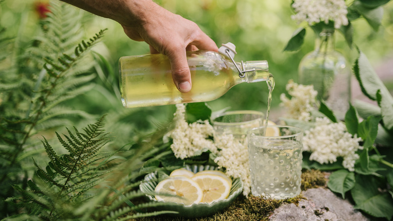 man pouring elderflower cordial