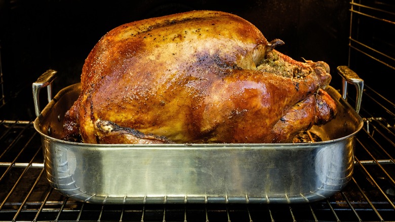 A Thanksgiving turkey in a roasting pan