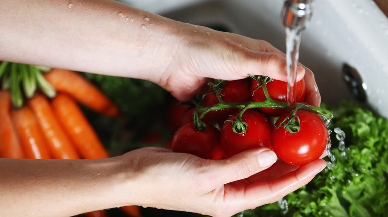 person washing tomatoes, carrots, and greens