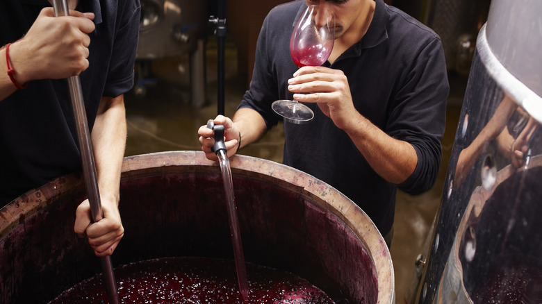 Testing wine at the barreling stage