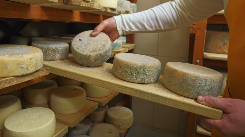 Cheesemaker handling a cheese wheel.