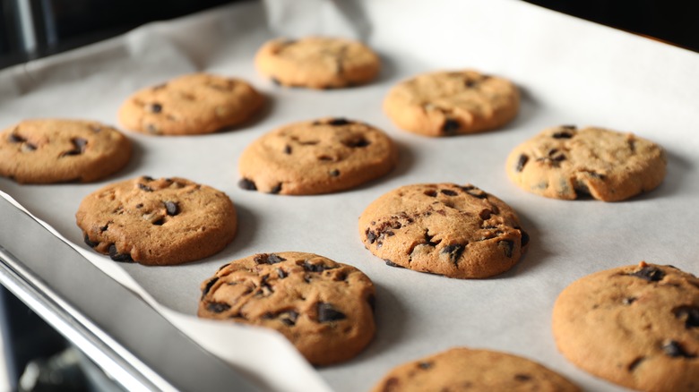 chocolate chip cookies on tray