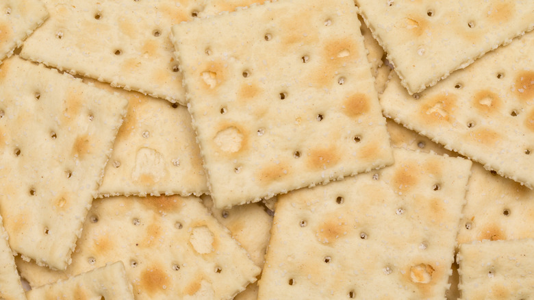 Top-down view of several Saltine crackers