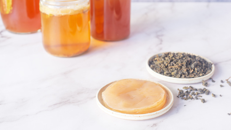 Kombucha SCOBY beside a dish of dry tea leaves