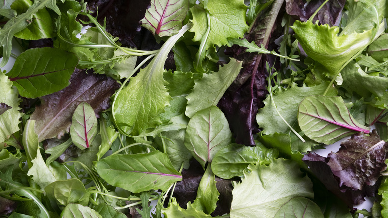 Piles of assorted salad greens