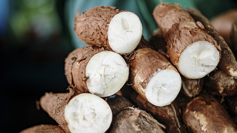 cassava roots